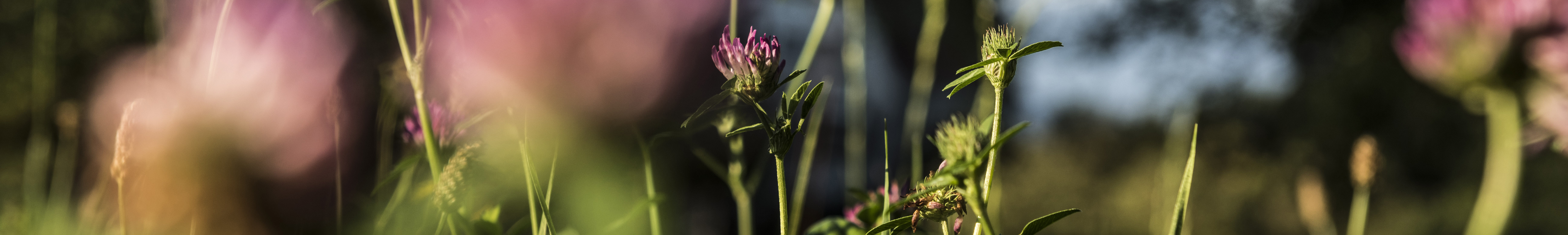 Antrag / Schadensmeldung